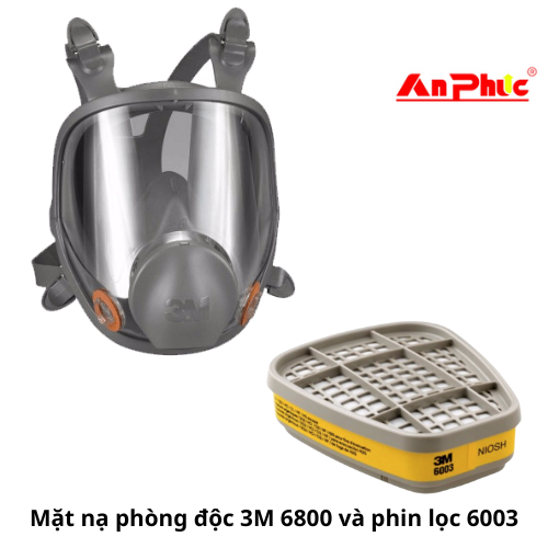 Combo mặt nạ 3M 6800 kèm phin lọc 6003 lựa chọn tối ưu trong phun thuốc sâu và phun sơn